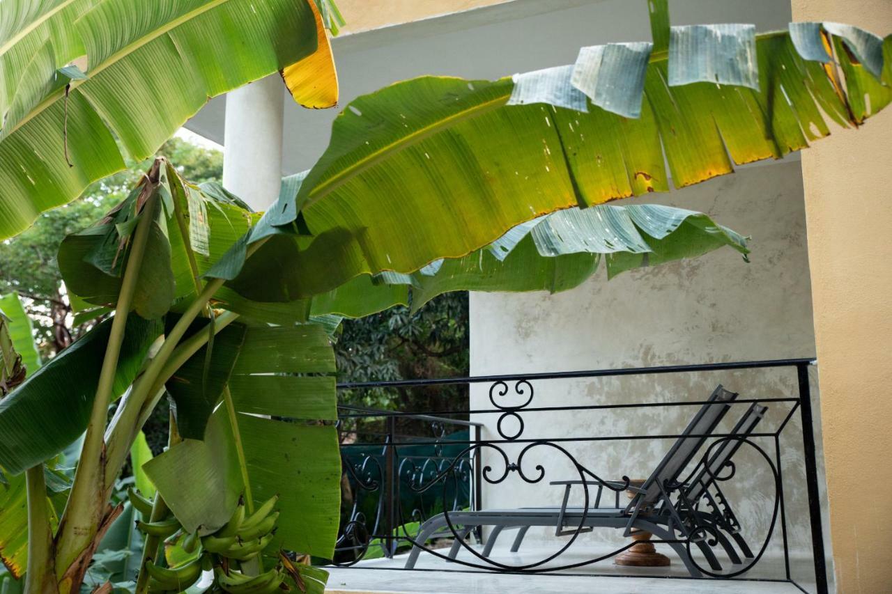 Amor Boutique Hotel Sayulita Exterior photo